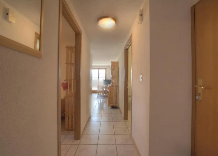 Rocailles A 3 A Avec Vue Sur Les Alpes